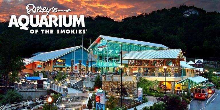 Modern Style, Arcade, Fire Pit, Pet Friendly Villa Pigeon Forge Eksteriør billede